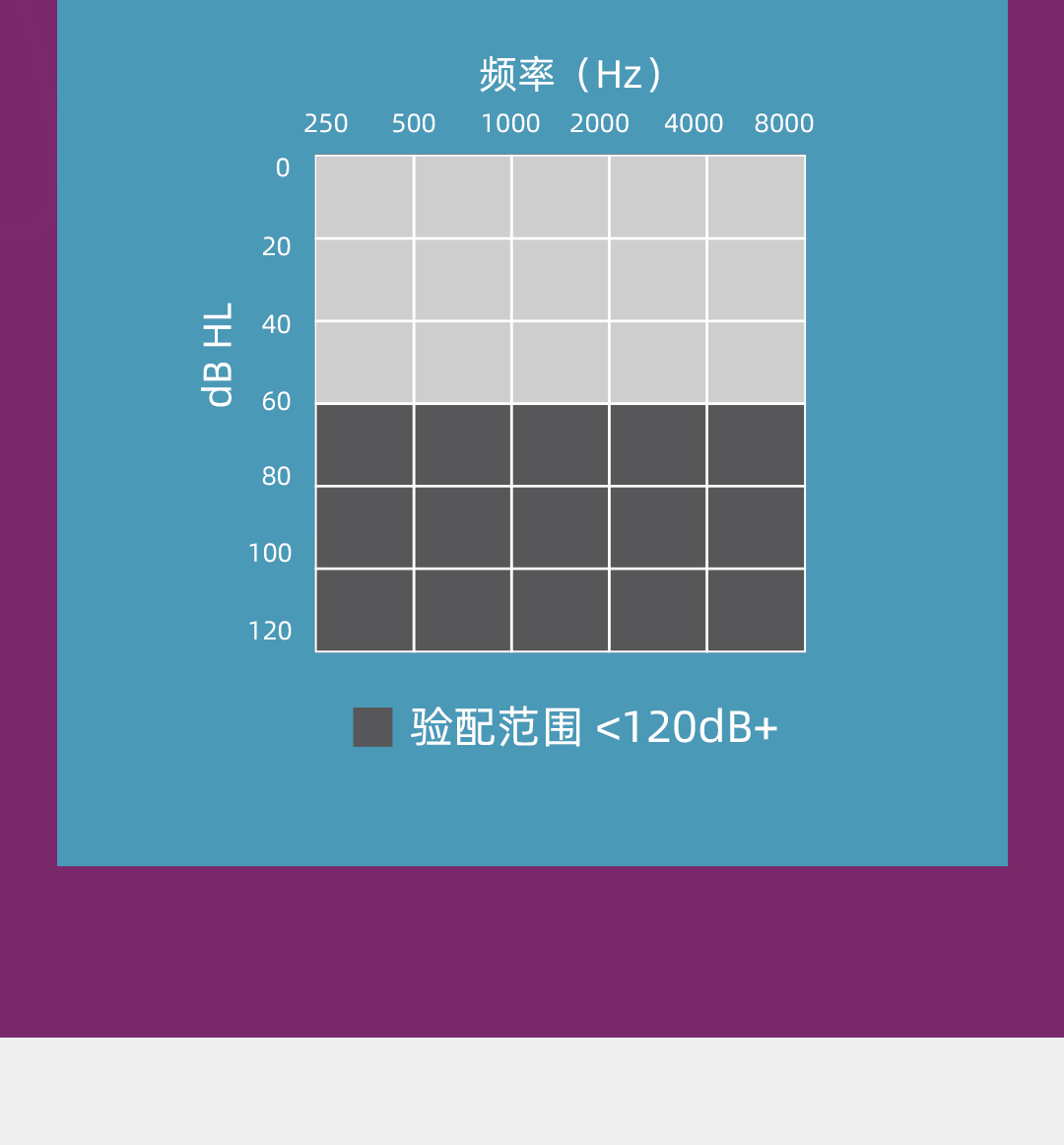 XA798-DWT(Anthe音序）_02.jpg